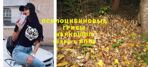 скорость Алексин